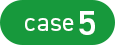 case5